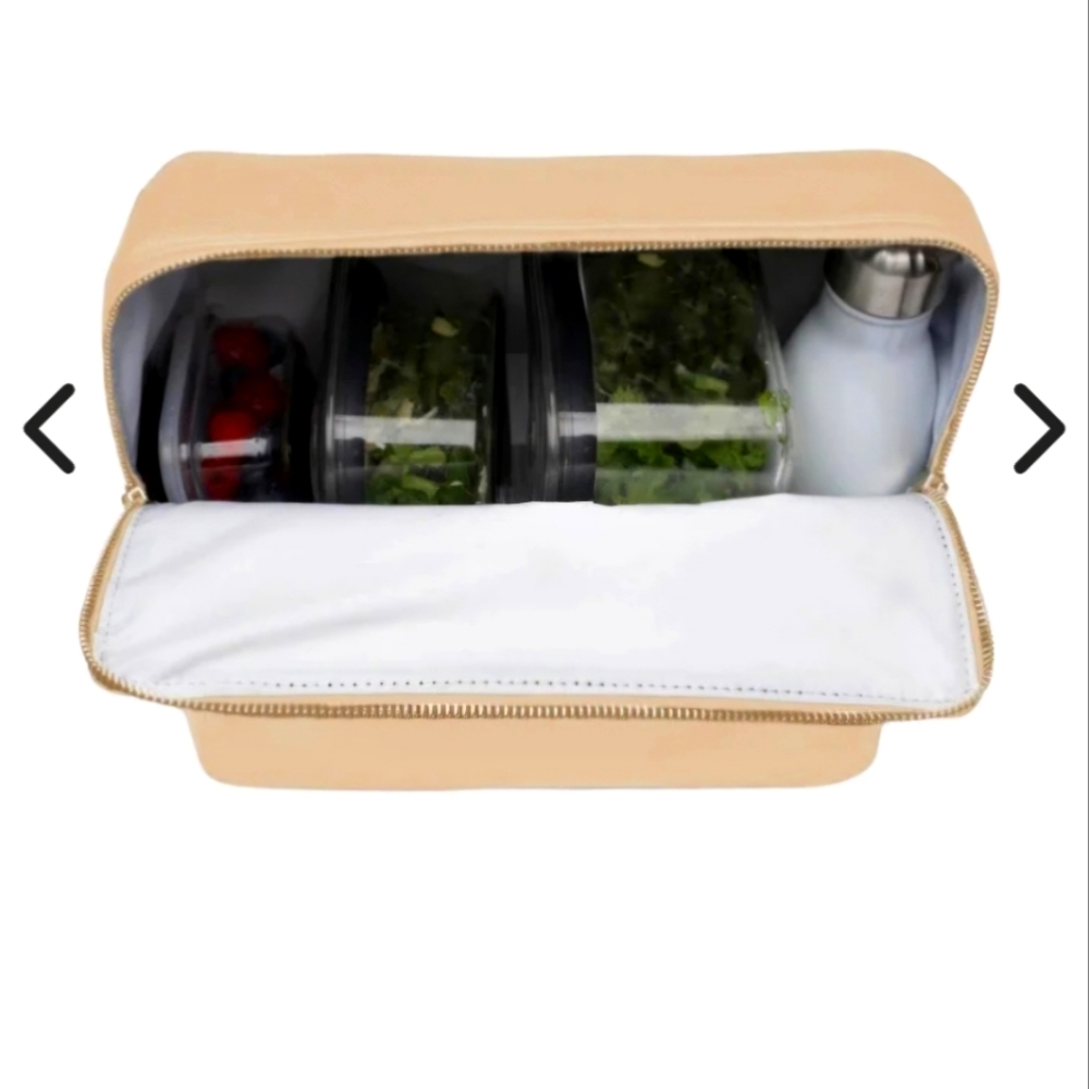 Modern Picnic Tote Pouch Insert Tan